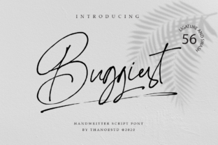 Buggiest: A Designer’s Honest Review for Branding