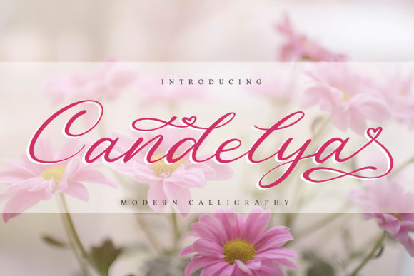 Candelya Font: Elevate Your Brand Identity