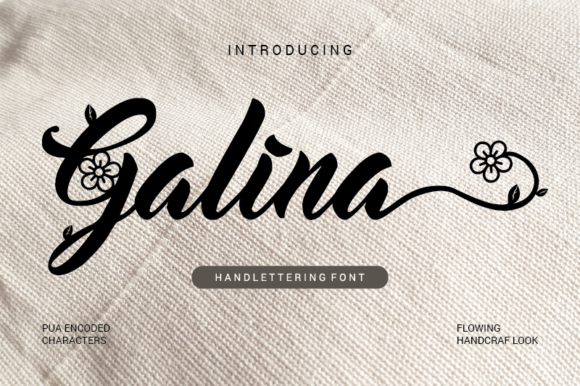 Galina Typeface Review for Elegant Branding