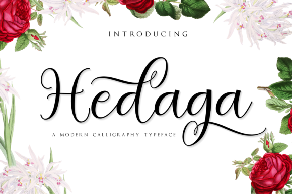 Hedaga Font Review: A Romantic Script for Branding