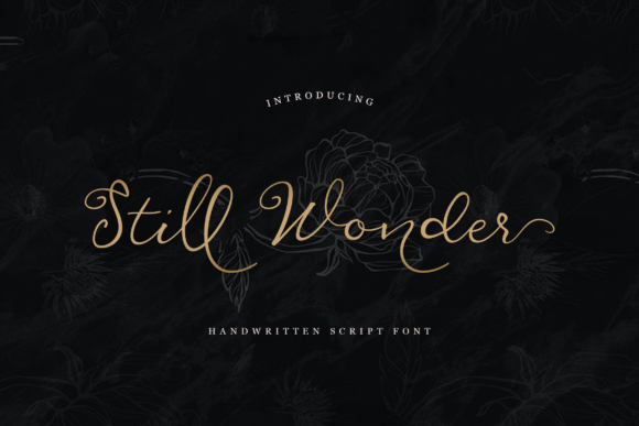 Still Wonder: A Delicate Script Font for Web Design