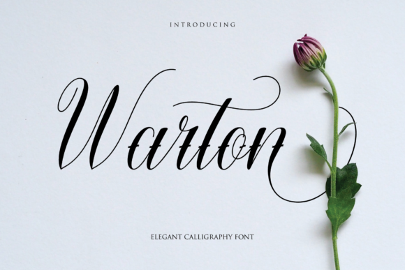 Warton Font: Elevate Your Campaign Visuals